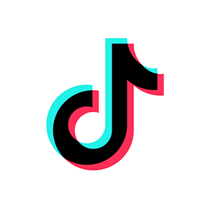 TikTok Icon